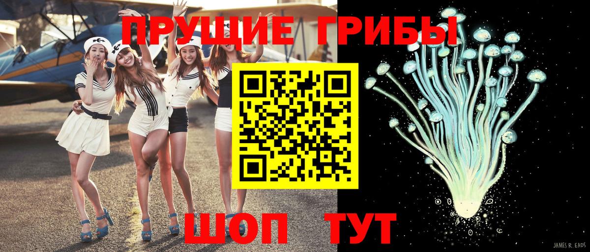 Тобольск  Галлюциногенные грибы Psilocybe  Вход с VPN 